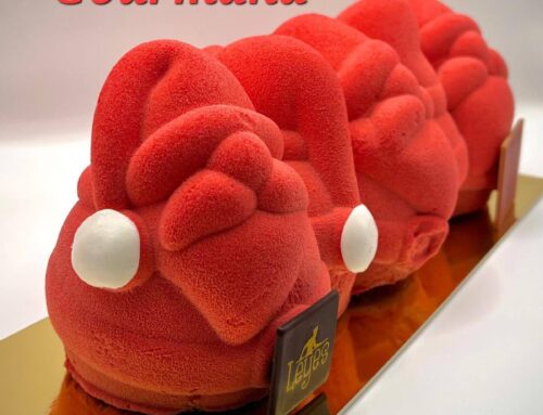 Bûches de Noël 2025